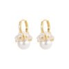 Elegant Pearl Drop Hook Earrings for Women